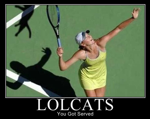 poster-lolcats