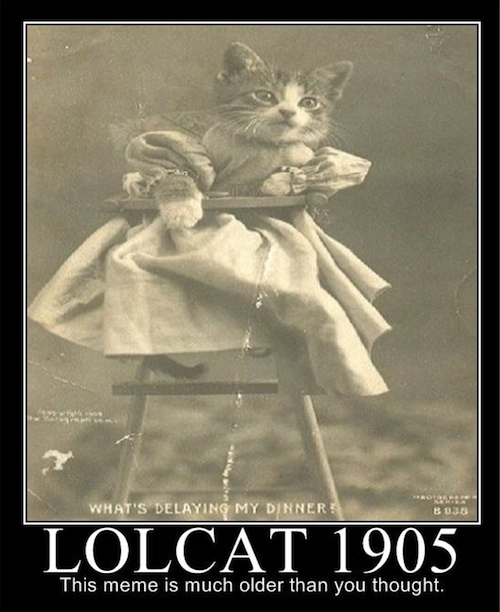 lolcat-1905