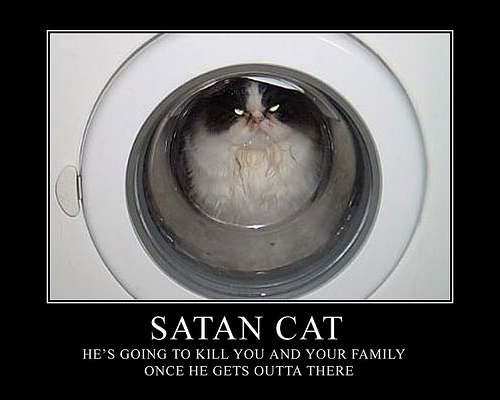 satan-cat