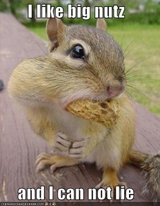 funny-pictures-squirrel-big-nuts